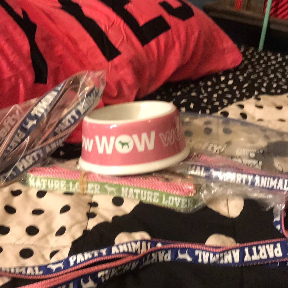 VS PINK DOG BOWL ONLY